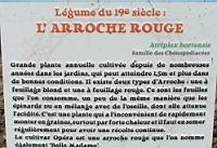 12 - Legume du 19e - L'Arroche Rouge.jpg